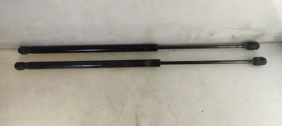 Tailgate/trunk strut/damper