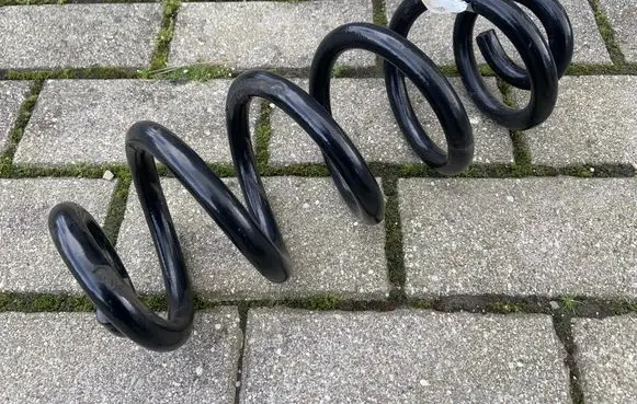 Rear coil spring