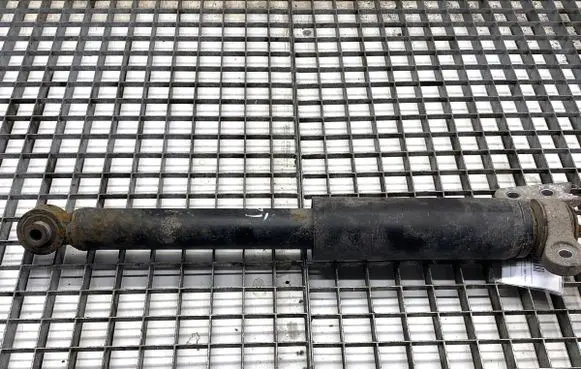 Opel Insignia B Rear shock absorber/damper 