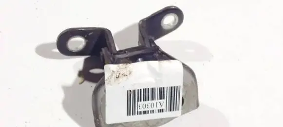 Hyundai Santa Fe Rear door lower hinge