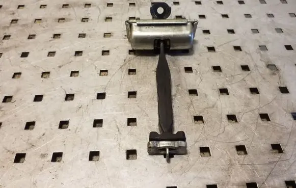 Ford Kuga II Rear door check strap stopper