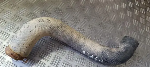 Mazda 323 F Intercooler hose/pipe