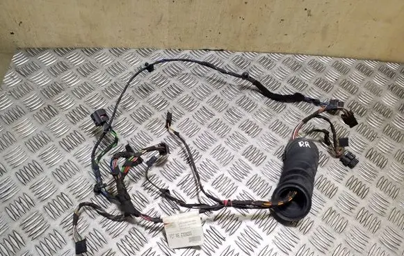Front door wiring loom