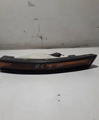 Volkswagen PASSAT B6 Front indicator light 3C0953041F
