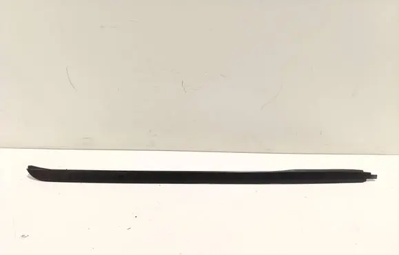 Toyota Highlander XU70 Front door trim (molding) 755040E020