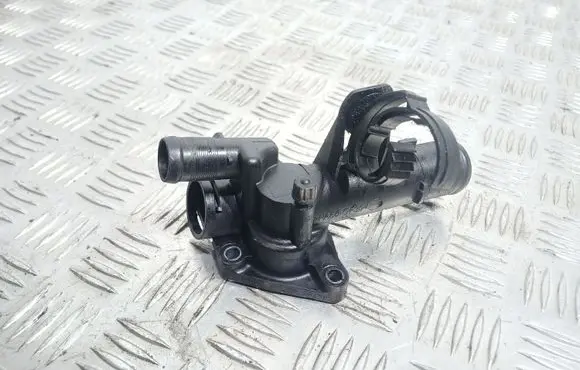 Thermostat/thermostat housing