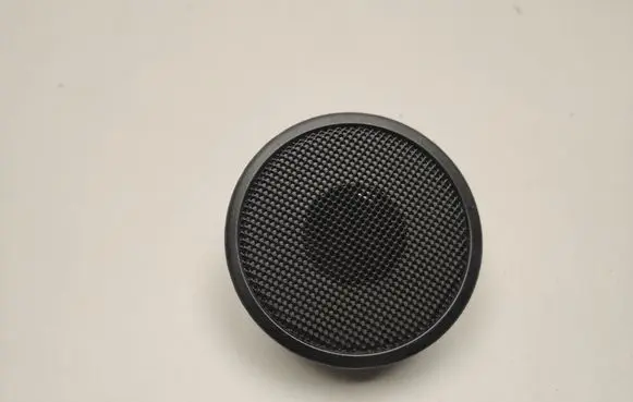 Front door speaker