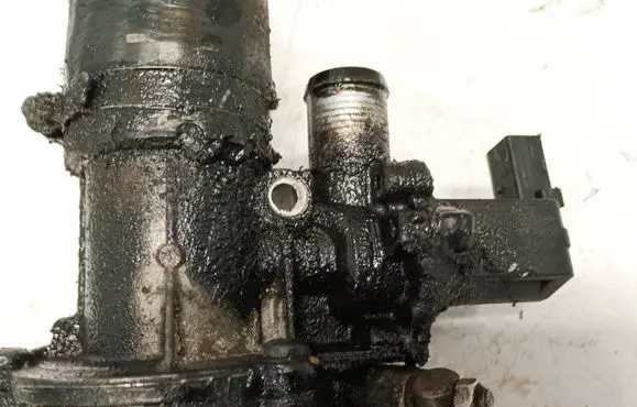 EGR valve