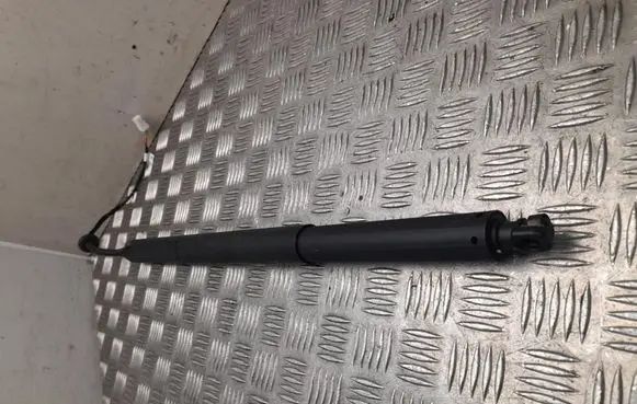 Opel Grandland X Tailgate/trunk/boot tension spring 9848244480