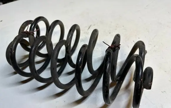 Rear coil spring