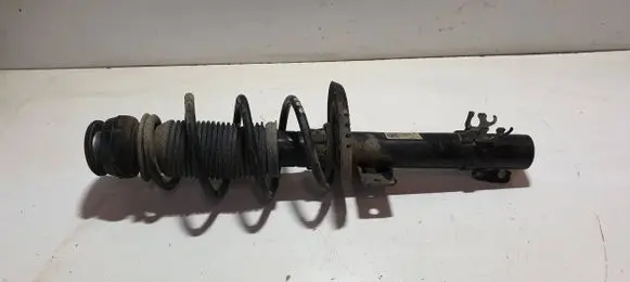 Skoda Fabia Mk3 (NJ) Front shock absorber/damper 6R0413031BF