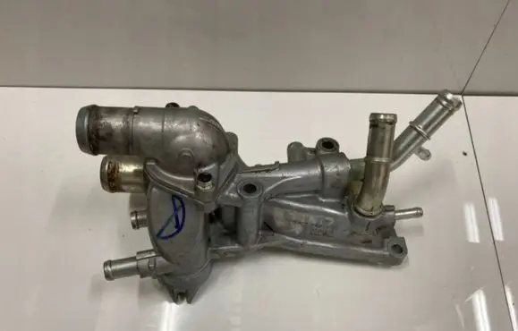 Thermostat/thermostat housing