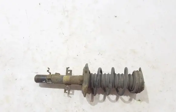 Nissan Qashqai Front shock absorber/damper 543034EA3A