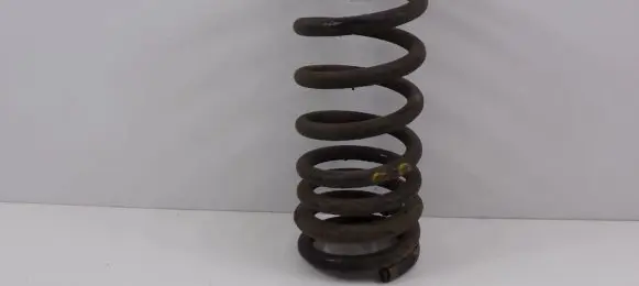 KIA Carnival Rear coil spring