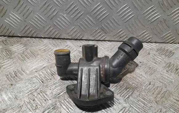 Thermostat/thermostat housing
