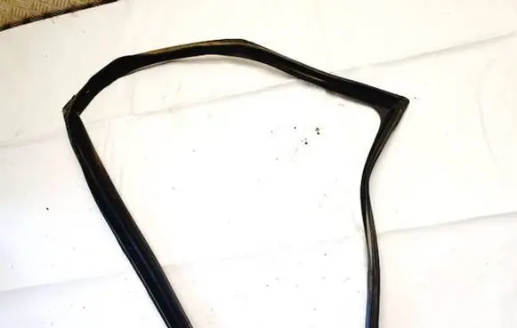Land Rover Range Rover Evoque L551 Rubber seal front coupe door 