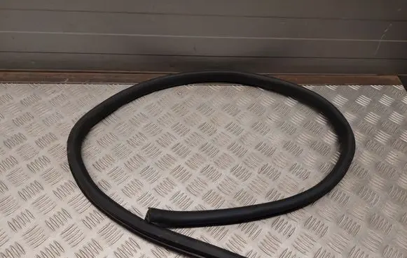 Volkswagen PASSAT CC Front door rubber seal 3C8867911