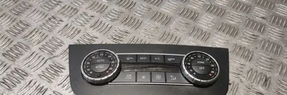 Mercedes-Benz GLE (W166 - C292) Climate control unit A1669002012