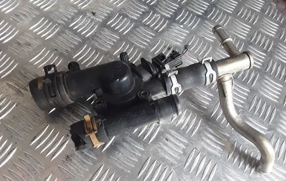 Thermostat/thermostat housing
