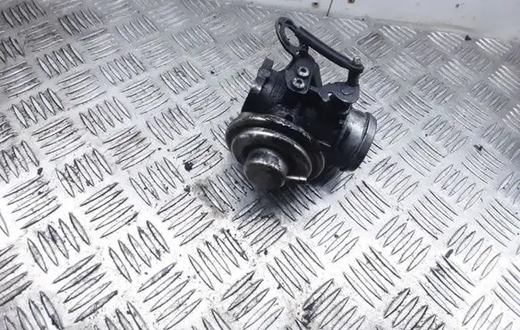 Volkswagen Golf V EGR valve 0381315015 011201077 038129637