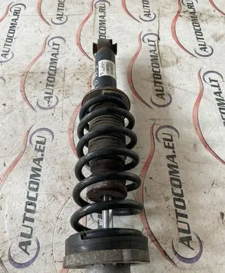 BMW X3 F25 Rear shock absorber with coil spring 