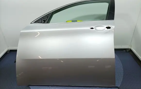 BMW X6 E71 Front door