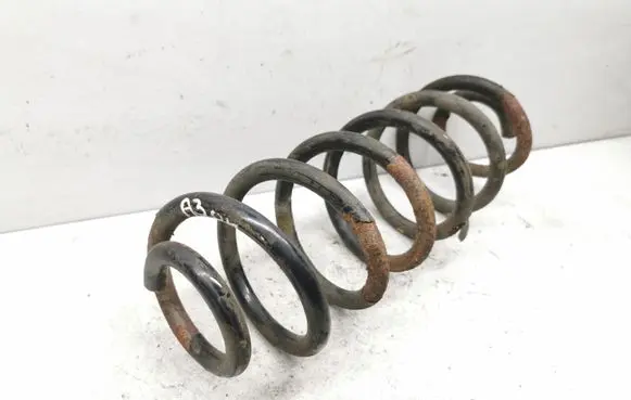 Rear coil spring