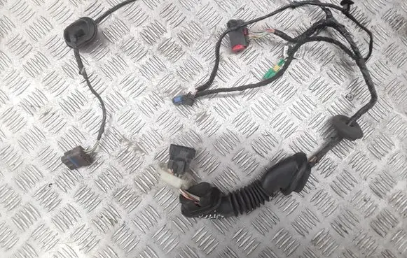 Fiat Ulysse Front door wiring loom 1494413080