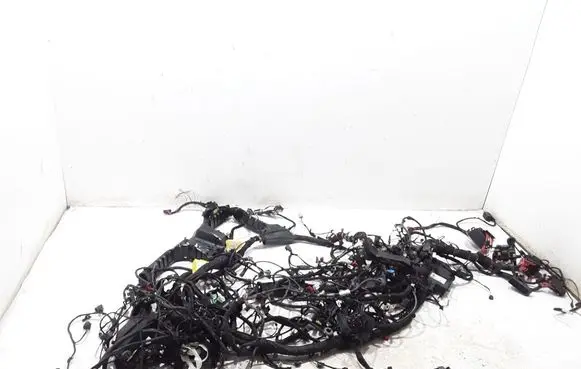 Other wiring loom