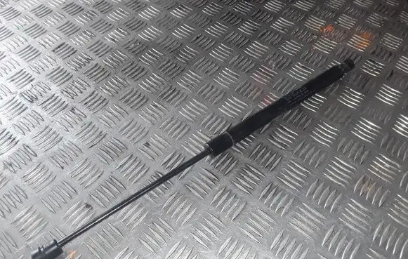 Dodge Journey Front bonnet/hood damper/strut SG314062