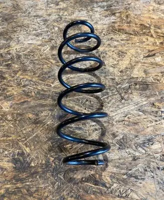Rear coil spring