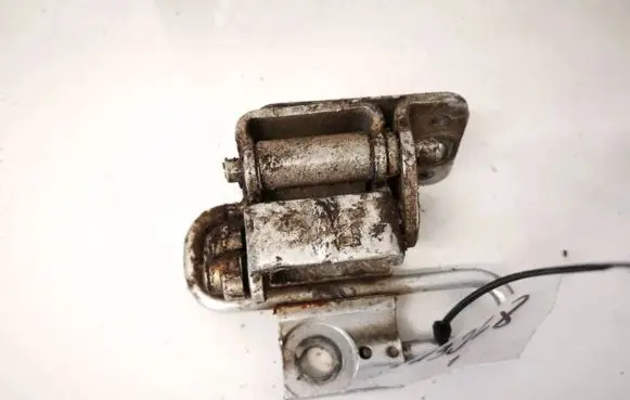 Rear door lower hinge