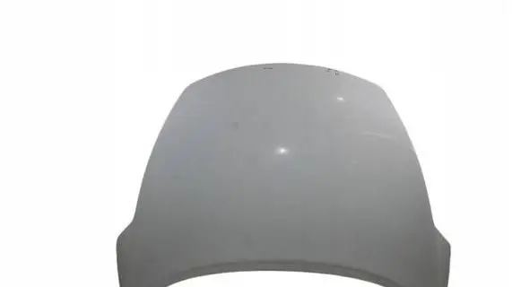 Nissan Juke I F15 Engine bonnet/hood