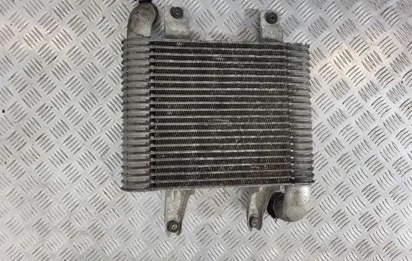 Hyundai Terracan Intercooler radiator 28190-4X40X