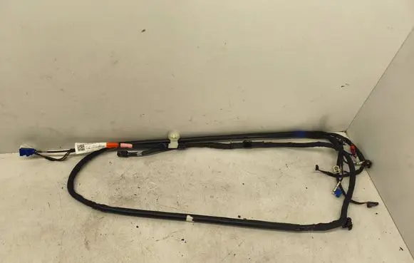 Tesla Model Y Other wiring loom 26166910C