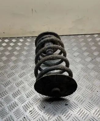 Rear coil spring