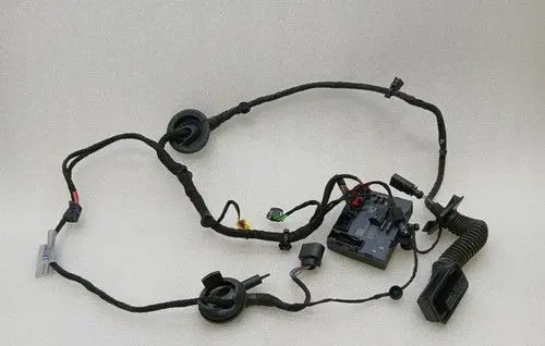 Lamborghini LP 610-4 Front door wiring loom/harness boot 4T2971029F
