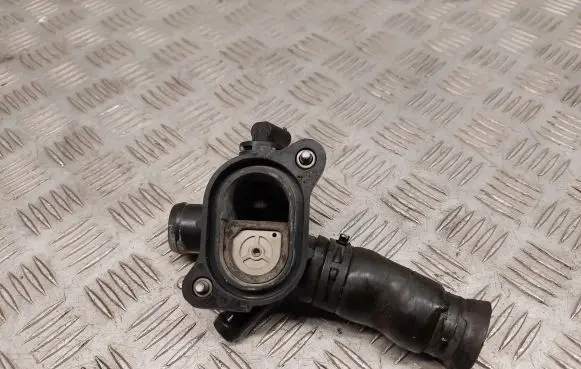 Thermostat/thermostat housing