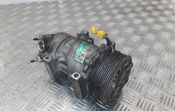 Citroen C3 Pluriel Air conditioning (A/C) compressor (pump) 9646273380 1439F SD6V12