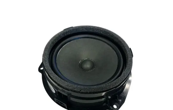 Rear door speaker