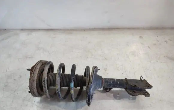 Hyundai Santa Fe Front shock absorber with coil spring