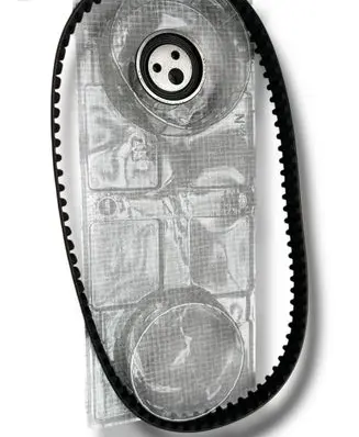 Renault Kangoo I Timing belt 1611253180