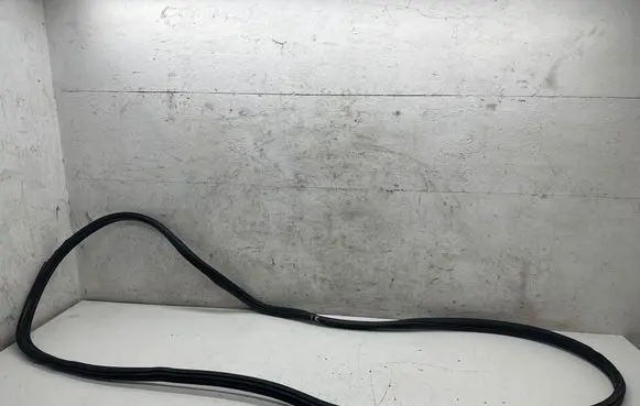 BMW X6 M Front door rubber seal