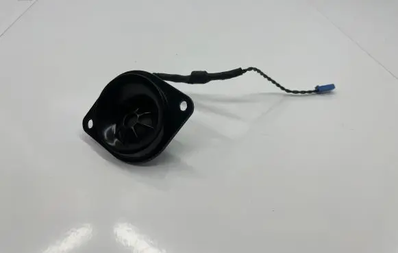 Front door high frequency speaker