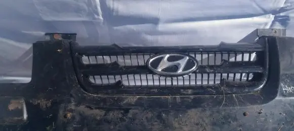 Hyundai Matrix Front grill