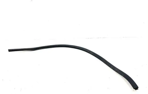 Chevrolet Volt I Engine compartment rubber 