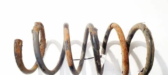 Rear coil spring