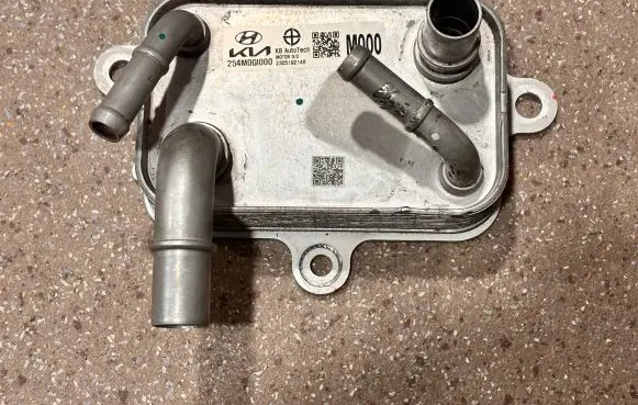Hyundai Ioniq 5 Coolant radiator 254M0GI000