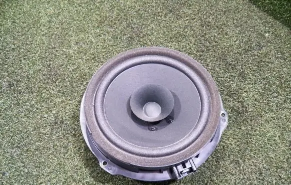 Panel speaker