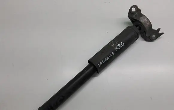 Opel Insignia A Rear shock absorber/damper 3139701